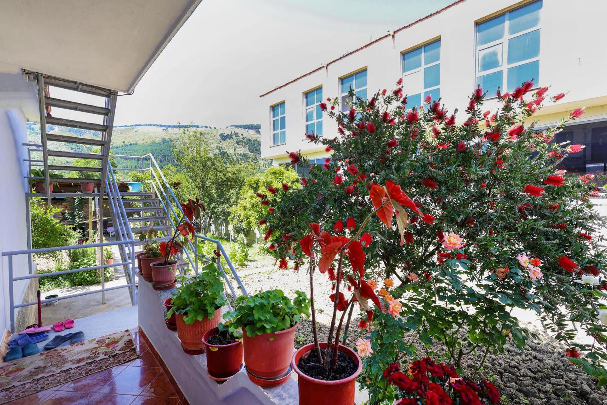Samuela Cozy Retreat * Berat