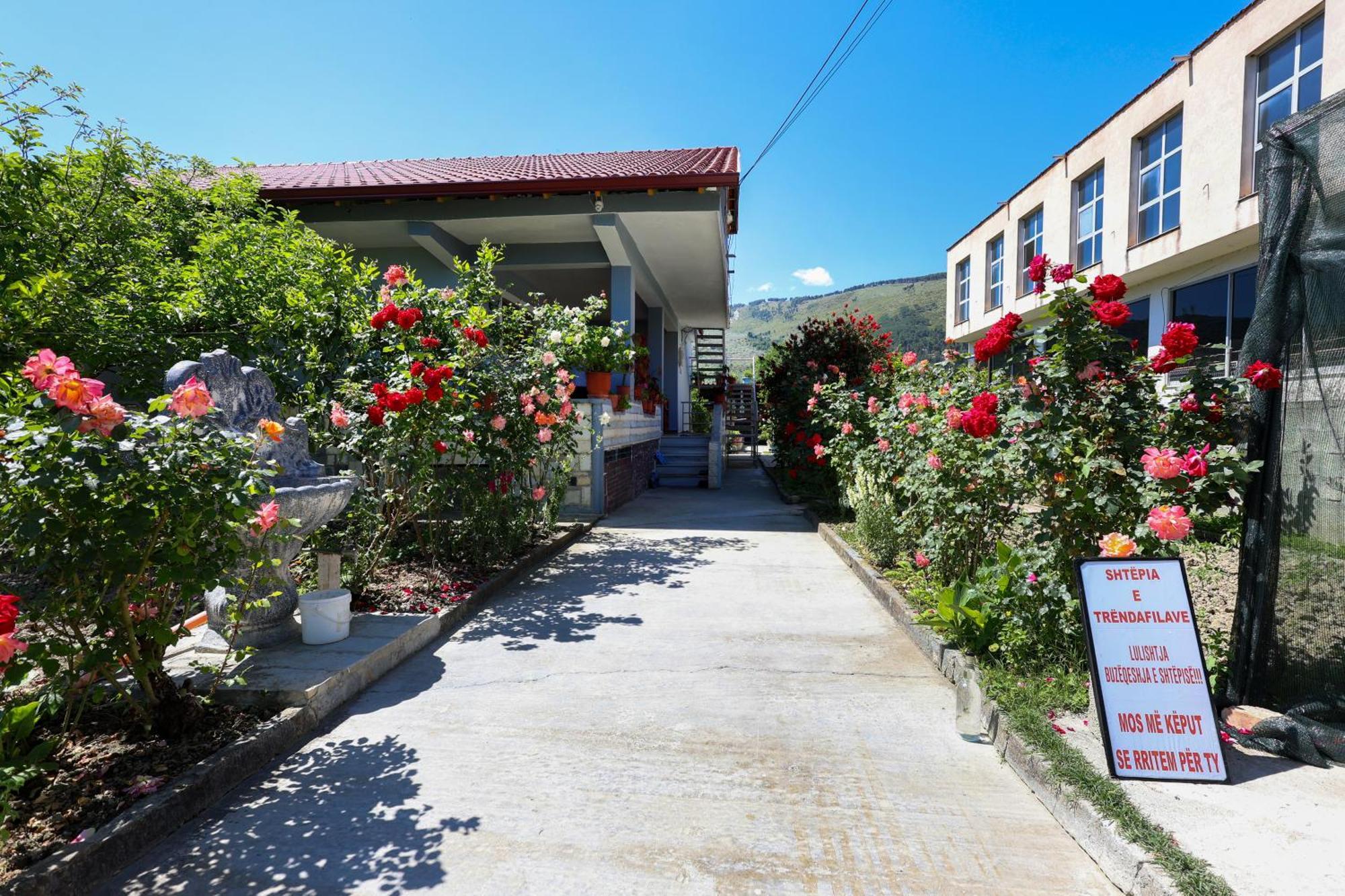 Samuela Cozy Retreat